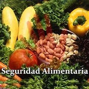 Dimensión de Seguridad Alimentaria y Nutricional
